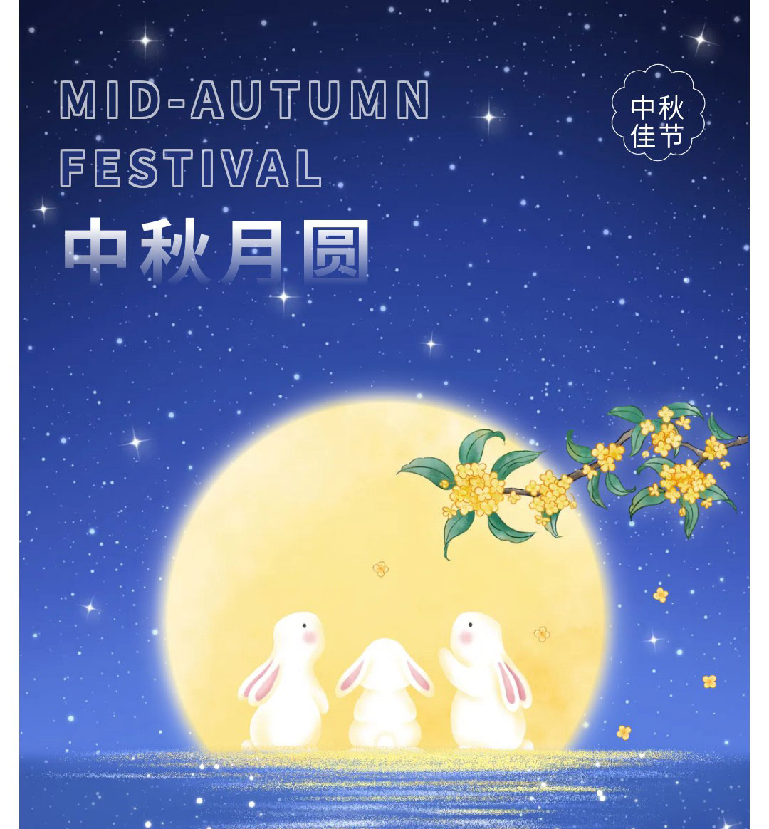 3e5de8e4ff474569d3a4175a7e0fa094